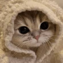 LAY